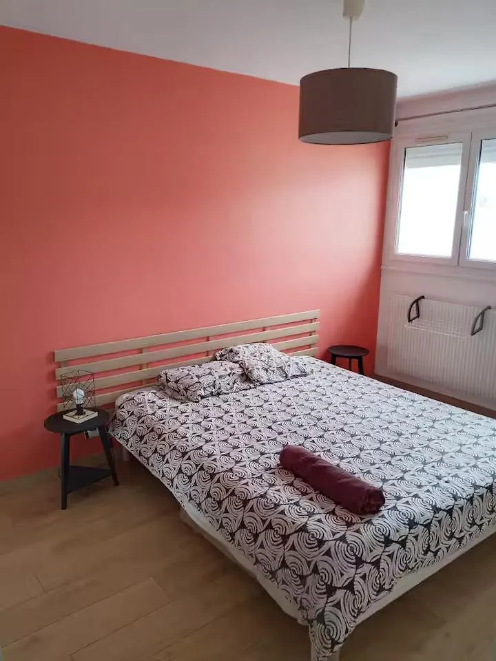 Chambre Privee Chez L'Habitant - La Chambre Framboise Colomiers